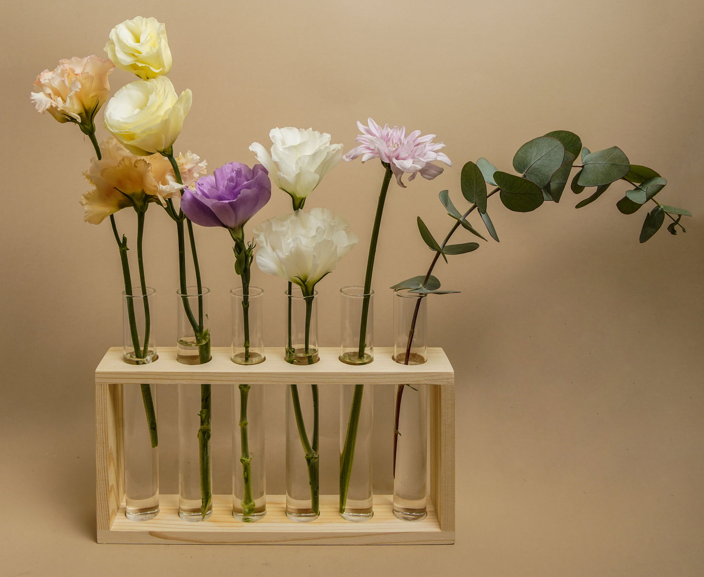 Florescencia