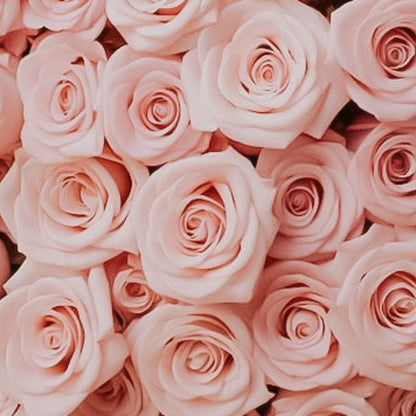 TOTALLY ROSES WITH ORCHID · ROUND BOX
