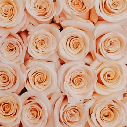 TOTALLY ROSES WITH ORCHID · ROUND BOX