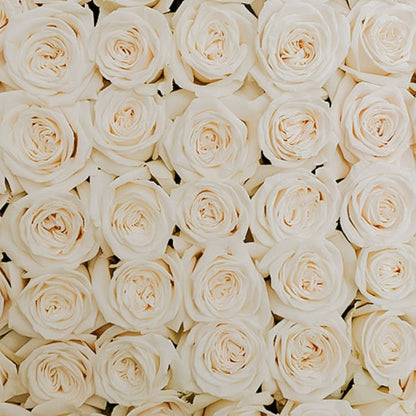 TOTALLY ROSES WITH ORCHID · ROUND BOX