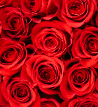 ATADO DE  ROSAS