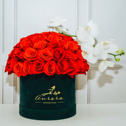 SPHERE OF ROSES WITH ORCHID · ROUND BOX