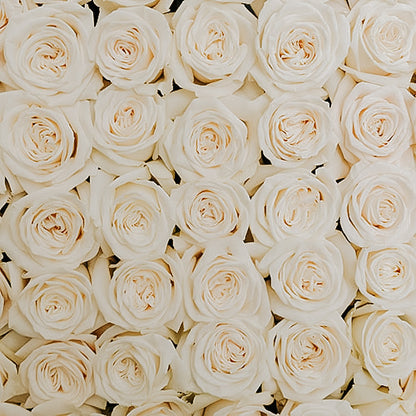 ATADO DE  ROSAS