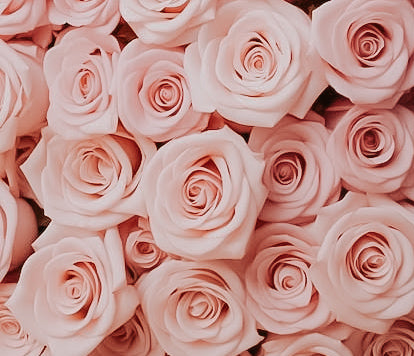 ATADO DE  ROSAS