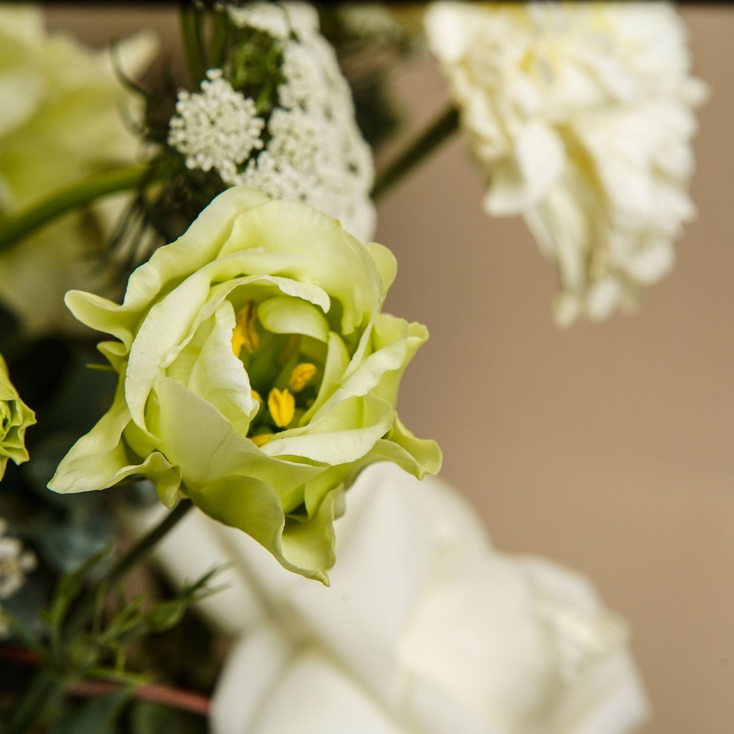 Floralia
