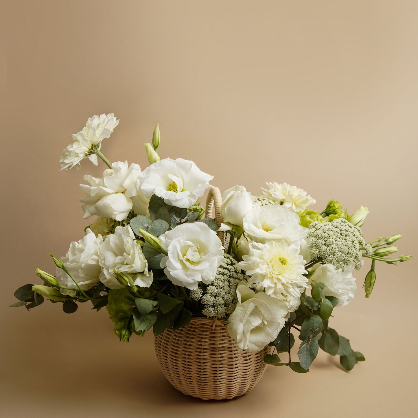 Cesta Floréa