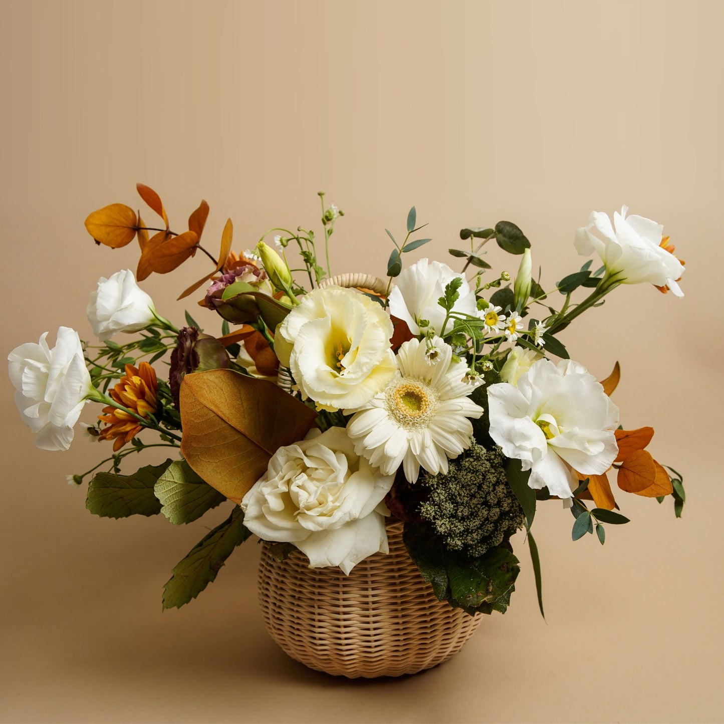 Cesta Floréa