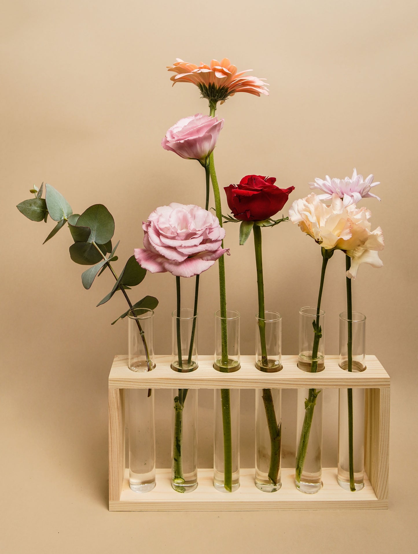 Florescencia