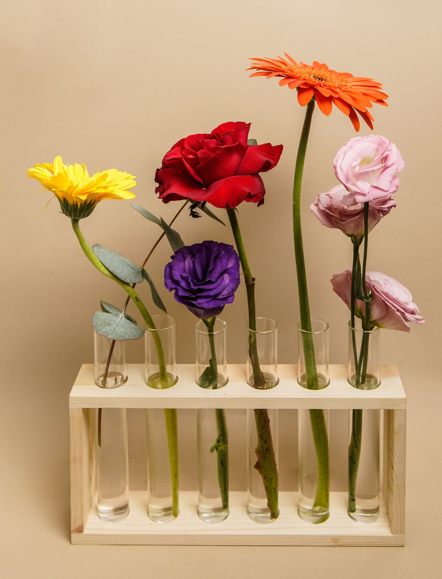 Florescencia