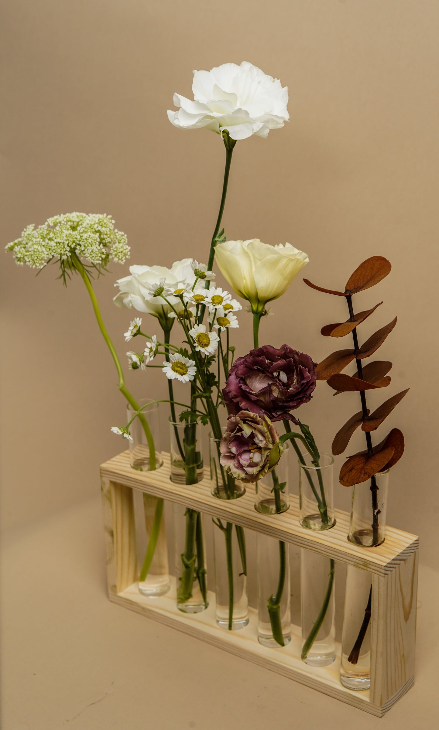 Florescencia