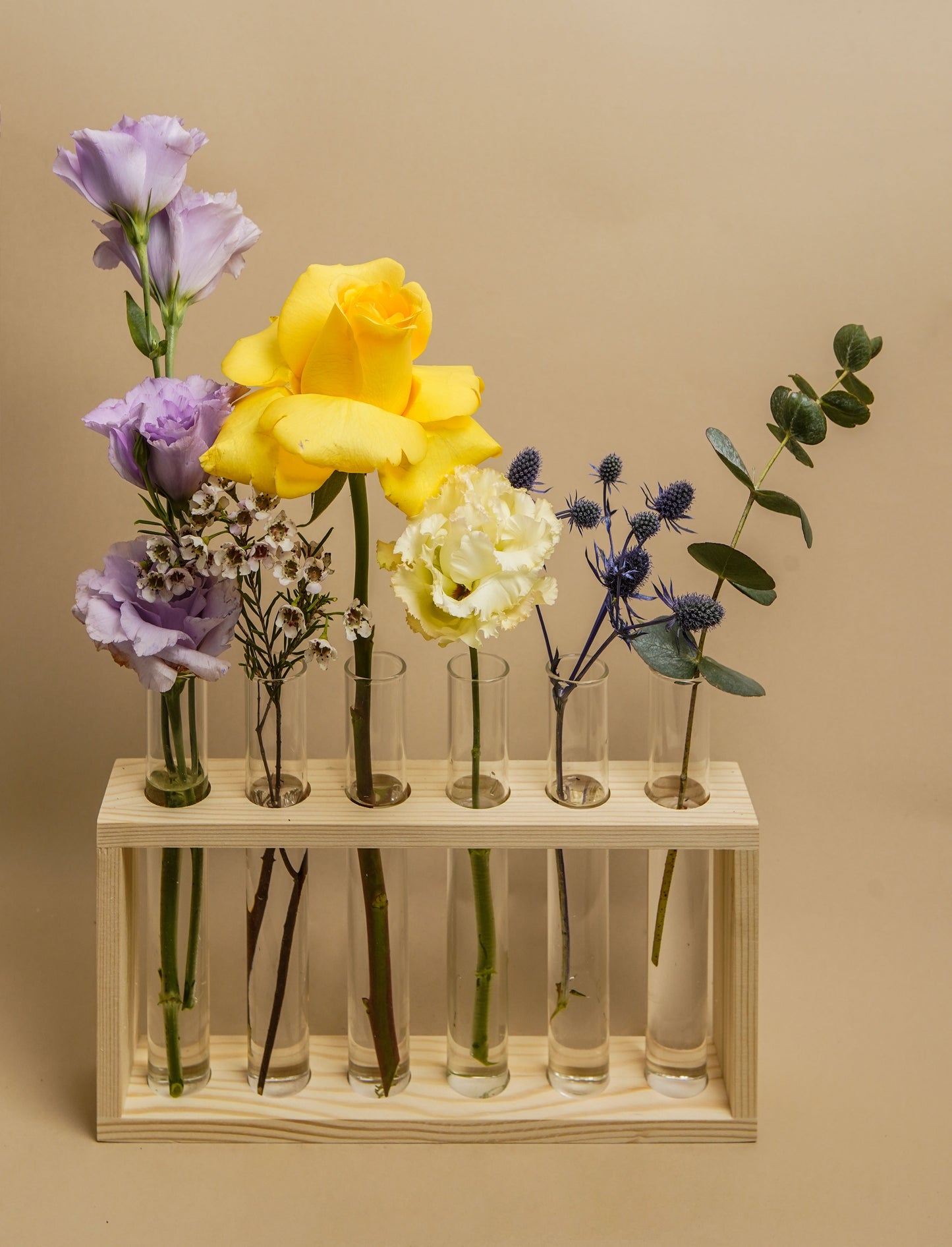 Florescencia